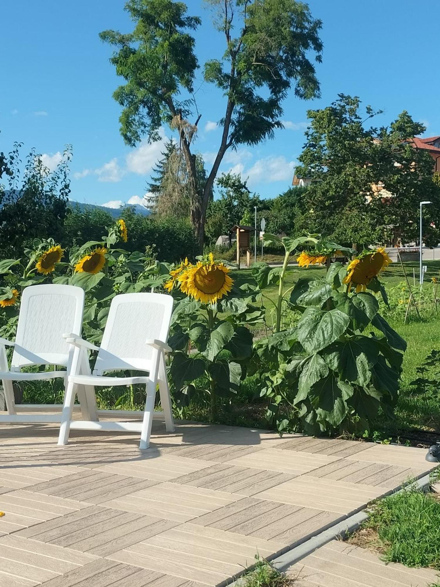 I Girasoli サンゼーノ エクステリア 写真